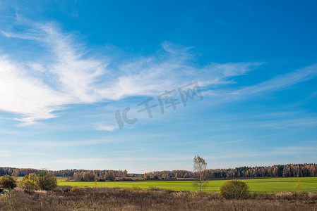 宁静的秋天风景