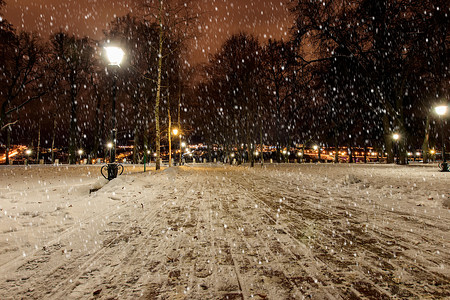 冬天的夜公园，飘落的雪花。