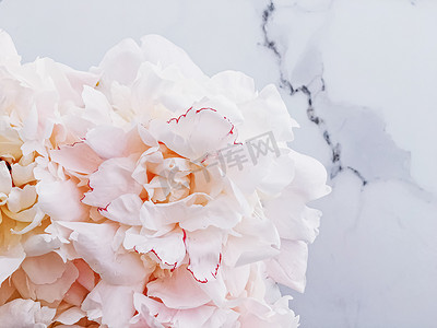 豪华大理石背景上的牡丹花束、婚礼平铺和活动品牌