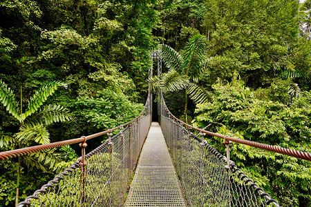 哥斯达黎加拉福图纳 Mystico 吊桥公园的吊桥