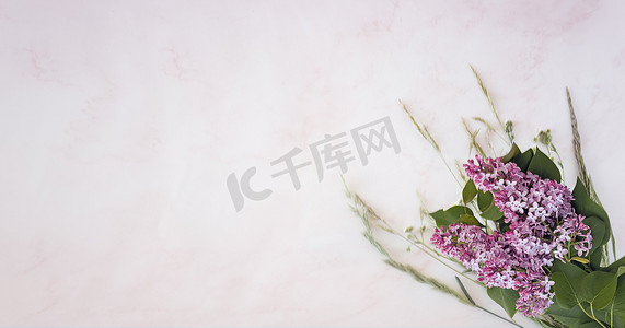 淡彩摄影照片_喜庆的春天背景，浅色背景上有淡紫色的花朵，颜色柔和。
