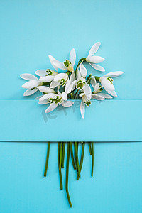 下雪花摄影照片_在彩色背景上用雪花莲花组成，在明亮的蓝色背景上用雪花莲花制作的创意布局。