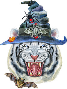 手绘女巫摄影照片_戴着女巫帽的手绘老虎。