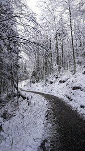 步行道徒步前往哈尔施塔特老盐矿，穿过松林和冬季雪山景观户外探险，奥地利