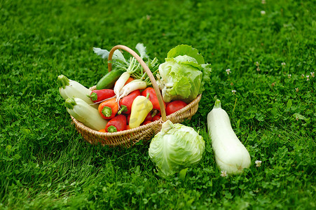 篮子里的新鲜有机蔬菜