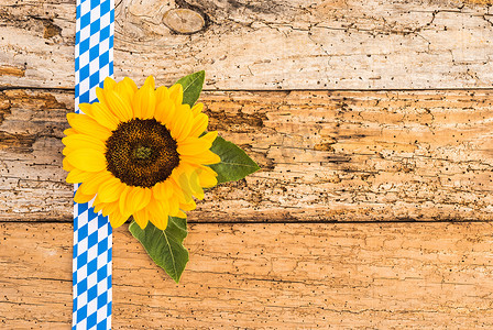 质朴的巴伐利亚慕尼黑啤酒节背景与秋花