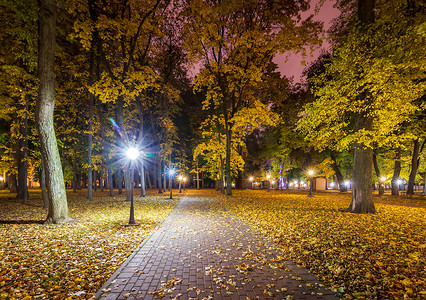 秋天的夜公园，黄叶落下。