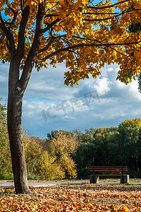 colorfull摄影照片_乌克兰 Bila Tserkva - 2019 年 10 月 11 日。Colorfull 落树在罗斯河附近的小公园