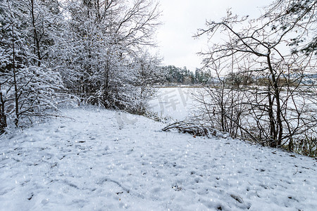 冰池塘摄影照片_池塘覆盖着松树林的霜。