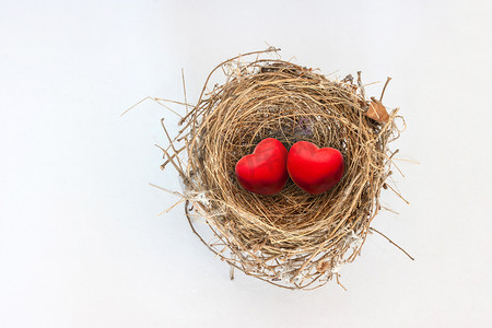 自然鸟巢中的两颗红心