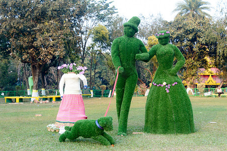 美丽的绿色雕塑艺术精心制作的设计元素代表幸福的情侣，通过修剪修剪树枝和树叶以惊人的形状和奇特的树篱。