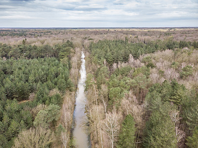 无人机空中拍摄的早春有河流或运河穿过的森林。