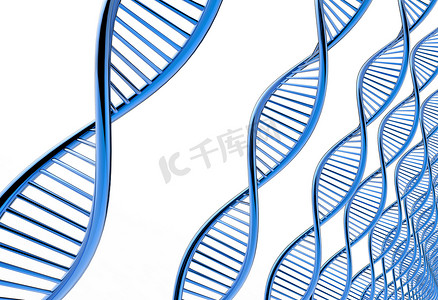 双胞胎dna摄影照片_DNA 链的图像