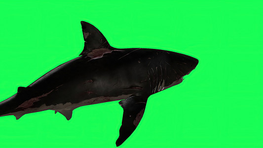 蓝色大屏背景摄影照片_3d 插图-绿屏中的鲨鱼-背景