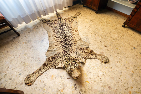 一只死豹的皮躺在地板上