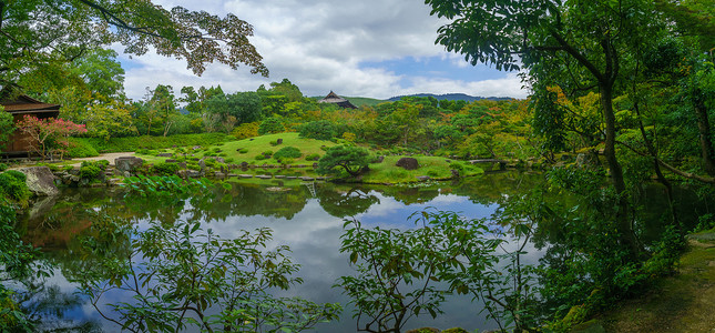 奈良公园的风景