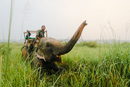 尼泊尔奇特旺的大象之旅