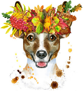 杰克罗素梗在秋叶花环中的水彩肖像
