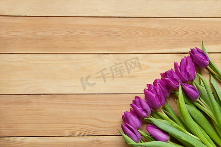 在木桌上的紫罗兰色春天郁金香花。