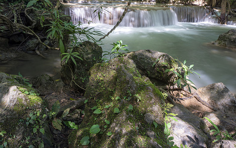 水在自然界的循环摄影照片_由于树木和地衣在黄色石灰岩中循环的反射，干净的瀑布呈翠绿色。 