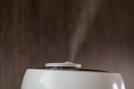 扩散器摄影照片_来自室内加湿器或扩散器水分的芳香油蒸气
