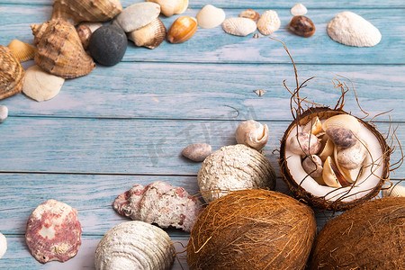 蓝色木质背景上的椰子和贝壳。海洋主题