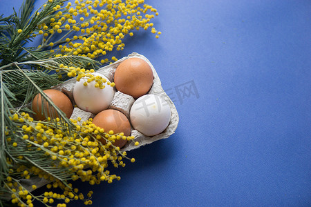 复活节背景，蓝色背景上的鸡蛋，装饰着含羞草花，平铺，顶视图，空白的文字空间。