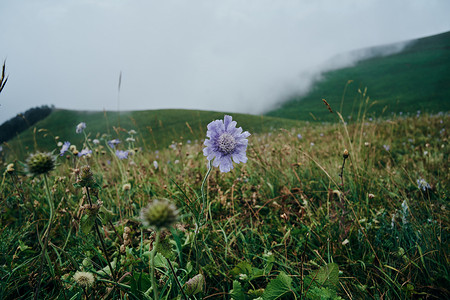 田野花山旅行冒险自然自由