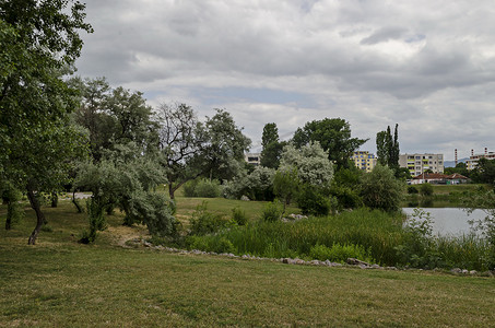 小蓝色清新摄影照片_德鲁伊巴住宅区岸湖的白柳或柳树的夏季小清新森林