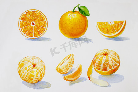夏季果汁系列摄影照片_绘画夏季橙色系列，孤立