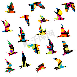 鸟儿飞翔摄影照片_五颜六色的鸟儿飞翔的轮廓