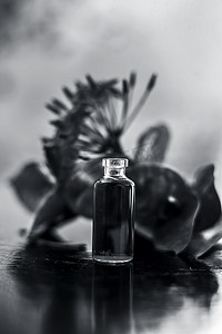 五角星logo摄影照片_木质表面的红色五角花或埃及星花或茉莉花，其在小透明玻璃瓶中提取的有益花香精或精油。