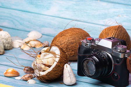 蓝色木质背景上的相机、椰子和贝壳。海洋主题
