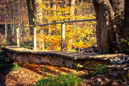 森林小溪摄影照片_秋季或秋季期间森林小溪上的人行桥