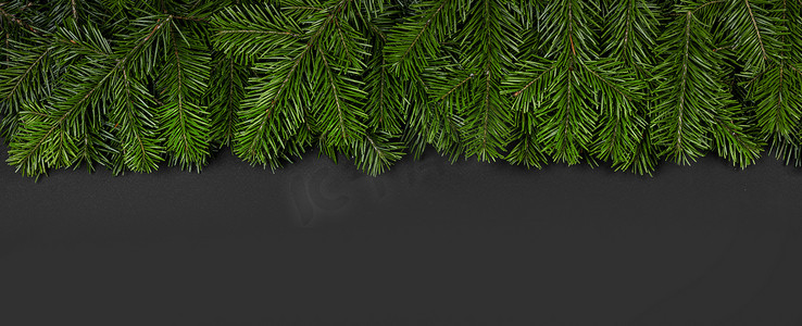 圣诞节绿色边框装饰摄影照片_冷杉树枝的圣诞边框
