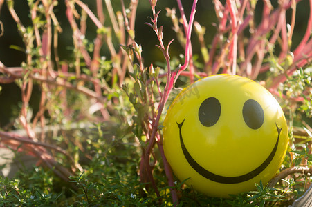 特写表情符号符号代表幸福象征的挤压球嘴笑脸，放置在植物和自然背景上。
