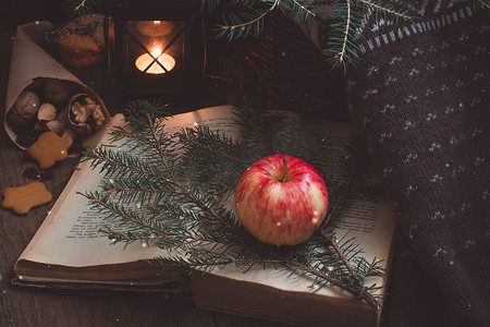 圣诞树树枝上的红黄苹果和黑灯笼或烛手附近的一本旧书