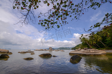 Pulau Pinang Permatang Damar Laut 海岸附近的绿色风景。