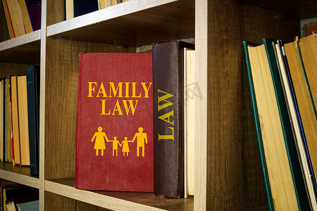 关于离婚和监护权的家庭法被搁置。