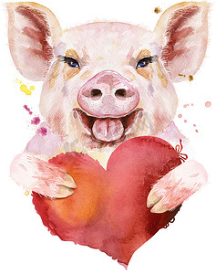 红心猪的水彩肖像