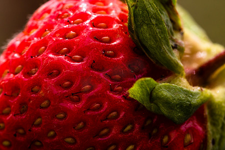 关闭显示种子瘦果的新鲜草莓。