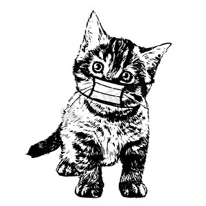 插画小动物摄影照片_手绘戴着面具的猫插画