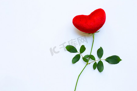 情人节玫瑰矢量摄影照片_与玫瑰分支的红色心脏在白色，复制空间。