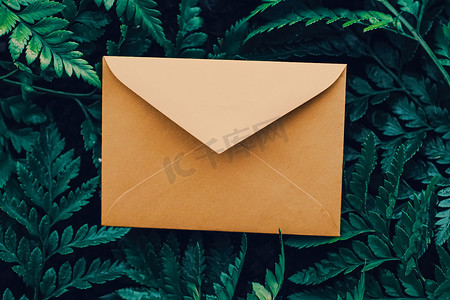 自然界中的空白信封和绿叶、纸卡作为背景、信件和时事通讯
