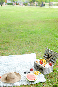 野餐盒配有帽子和格子花呢水果，背景是草。