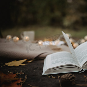 在秋季公园的一张旧木桌上，放着一本打开的书、一张格子花呢、一个带灯的花环、一杯黄叶和 sos 锥体。