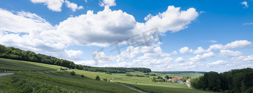 莫兰迪色系山丘摄影照片_夏季蓝天下兰斯南部法国乡村连绵起伏的山丘