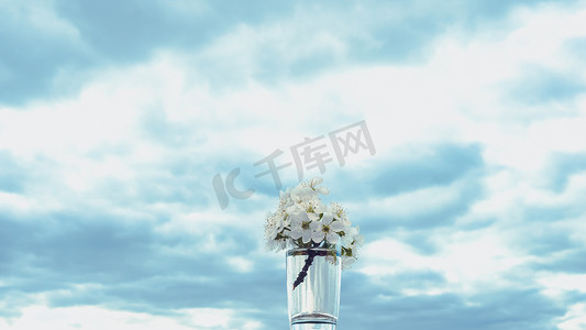 花瓶里的樱桃花映衬着天空