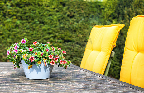 舒适的绿色花园，配有椅子、黄色枕头和花盆，桌上木制家具现代风格和可爱家居的装饰