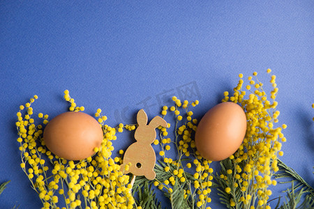 复活节背景、鸡蛋和蓝色背景的木野兔，装饰着含羞草花、平铺、顶视图、空白的文字空间。